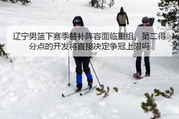 辽宁男篮下赛季替补阵容面临重组，第二得分点的开发将直接决定争冠上限吗